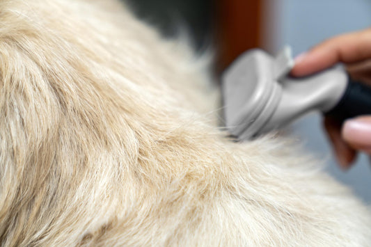 How to Choose the Right Clipper for Each Coat Type