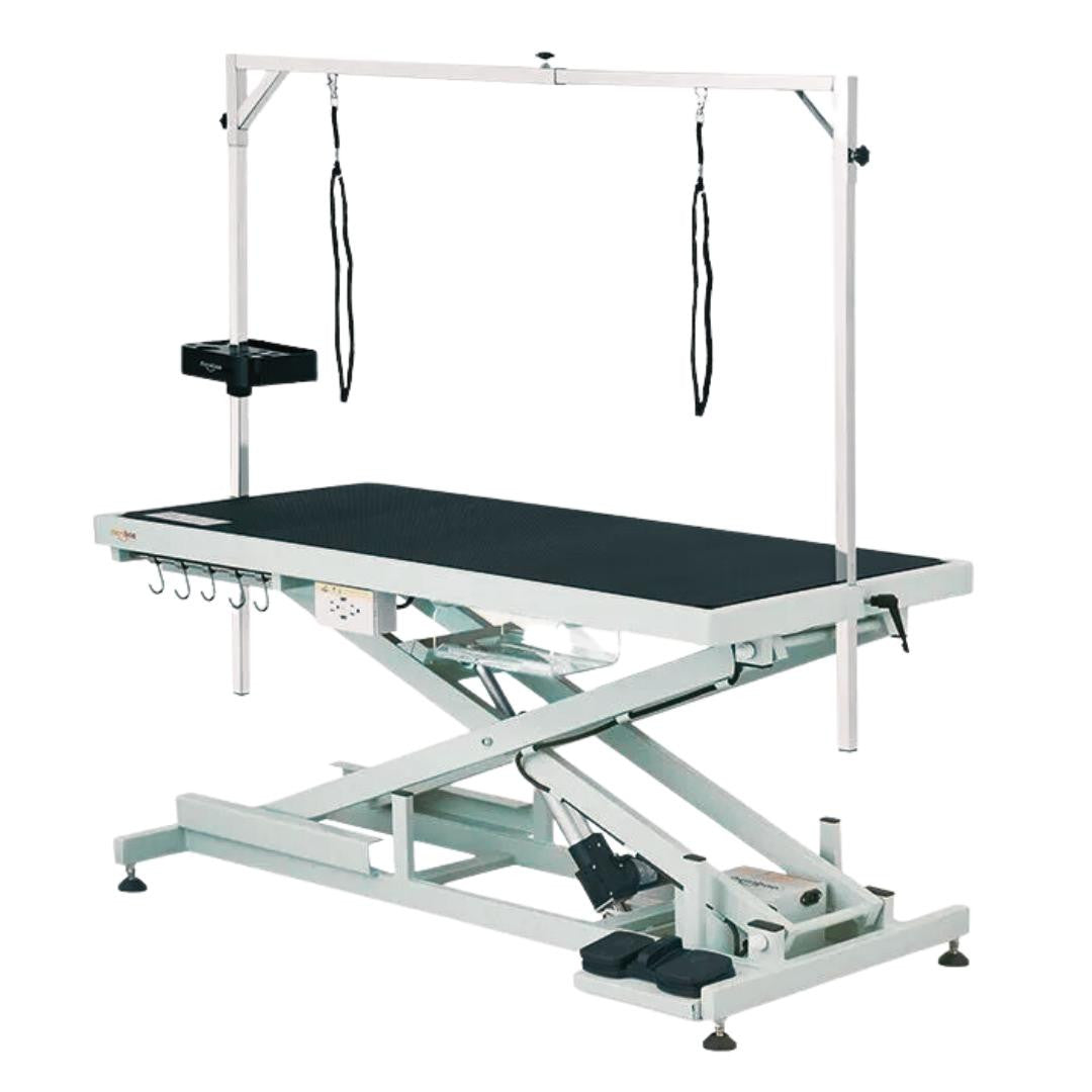 Shernbao FT-808P Low-Low Electric Grooming Table – Professional Adjustable Height Dog Grooming Table (Heavy Duty)