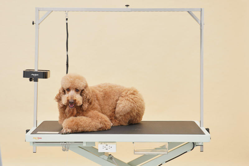 Shernbao FT-808P Low-Low Electric Grooming Table – Professional Adjustable Height Dog Grooming Table (Heavy Duty)